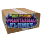 Phantasmal Flames 10 Elite Trainer Box Case